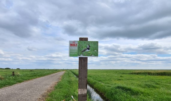 De kampen weidevogels